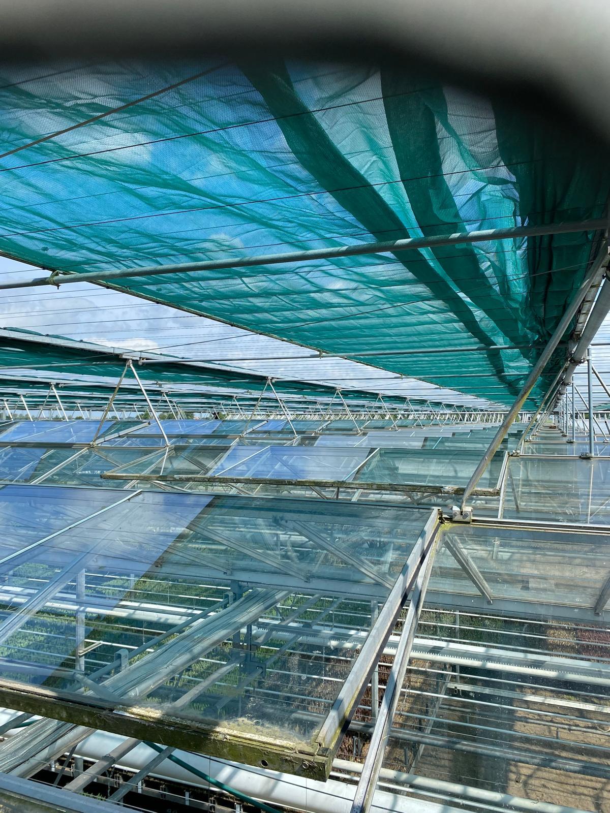 B L Tulips Huisman Screen Systems